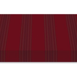 R-363 CONGOST